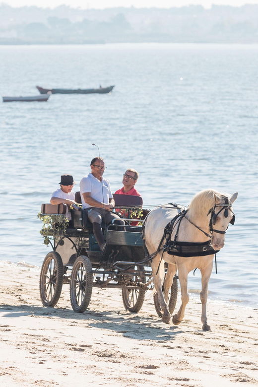 carriage-ride-on-the-beach-rosario-beach