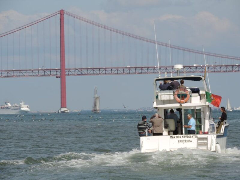 cascais-half-day-fishing-tour