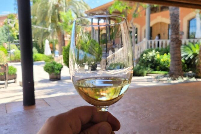 castle-tour-in-province-of-alicante-and-wine-tasting