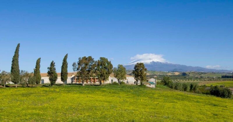 catania-gaspare-well-farm-guided-tour-with-tastings