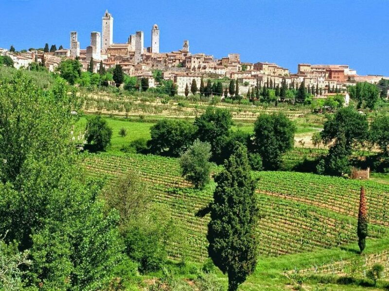 chianti-siena-s-gimignano-wine-tasting-private-tour