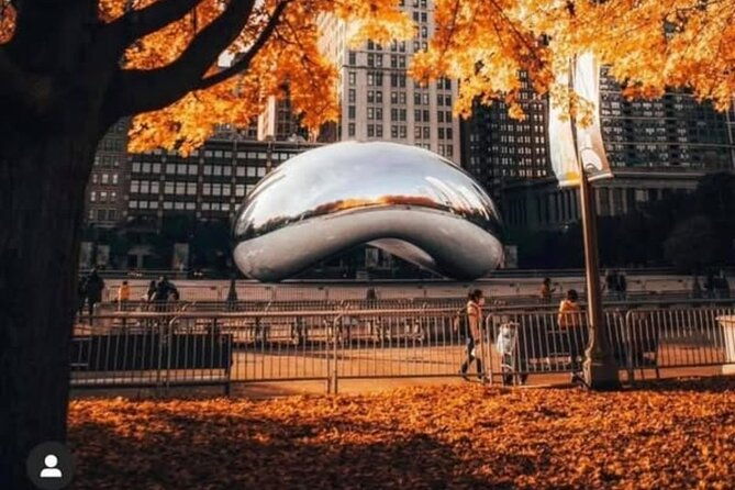 chicago-in-a-day-with-a-local