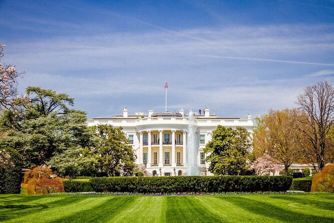 chicago-to-washington-d-c-cherry-blossom-3-day-tour