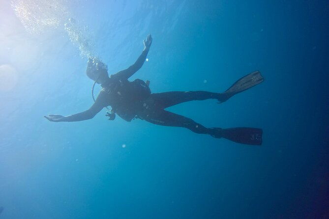 cig-discovery-diving-tour