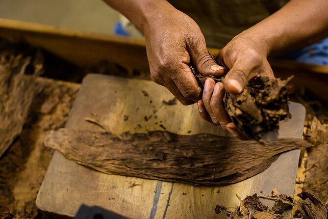 cigar-rum-tasting-experience-2-in-1-tour