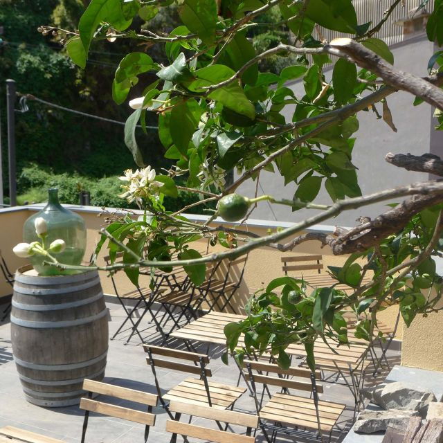 cinque-terre-wine-tour-and-tasting-with-the-somelier