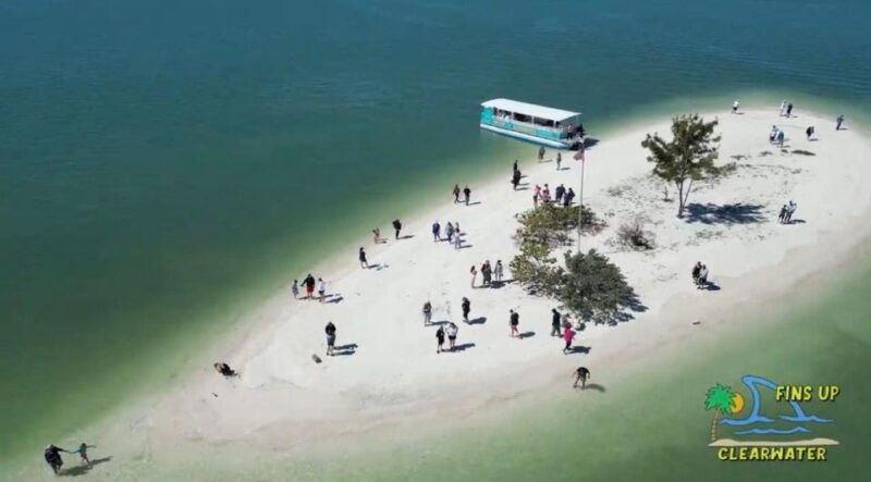 clearwater-beach-dolphin-island-sandbar-cruise