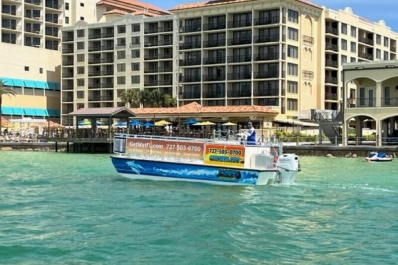 clearwater-dolphin-watching-sunset-cruise