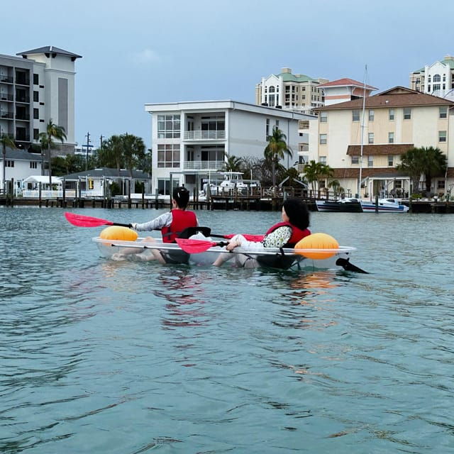 clearwater-guided-clear-kayaking-tour