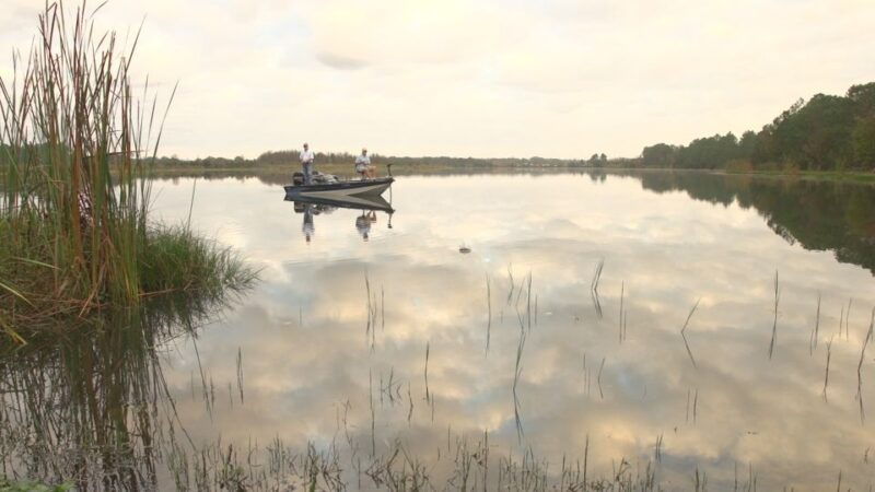 clermont-trophy-bass-fishing-experience-with-expert-guide