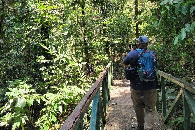 cloud-forest-hike-only-30-minutes-from-san-jose