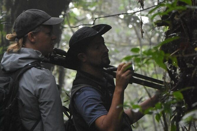 cloud-forest-wonders-guided-tour
