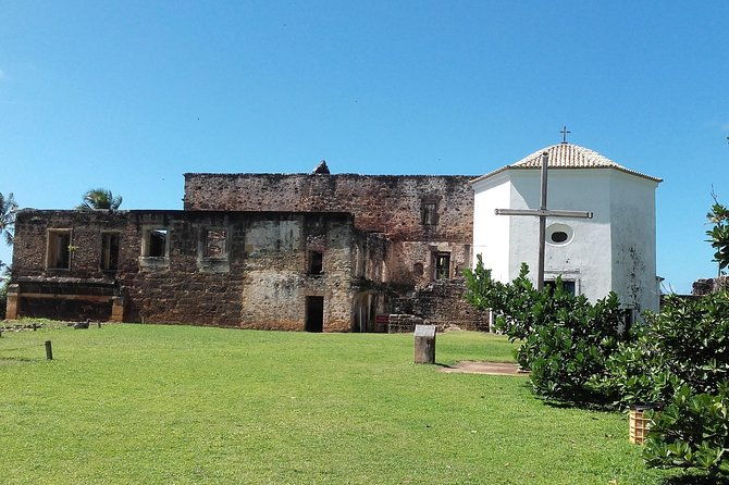 coconut-coast-and-praia-do-forte-the-famous-beaches