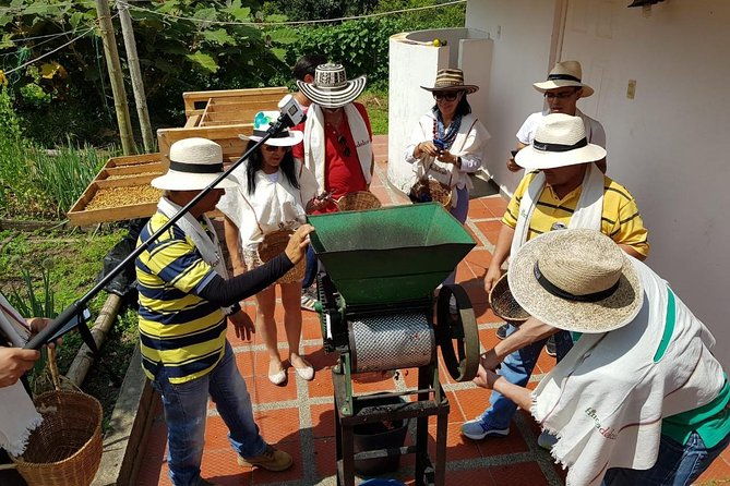coffee-culture-and-hotsprings