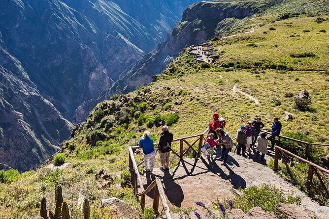 colca-canyon-2-days-1-night-and-disembark-in-puno