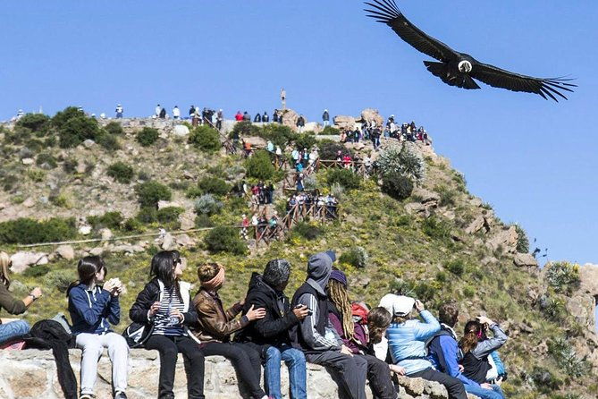 colca-canyon-full-day-buffet-lunch