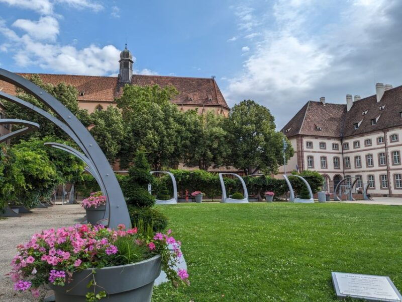 colmar-highlights-walking-tour-and-wine-tasting