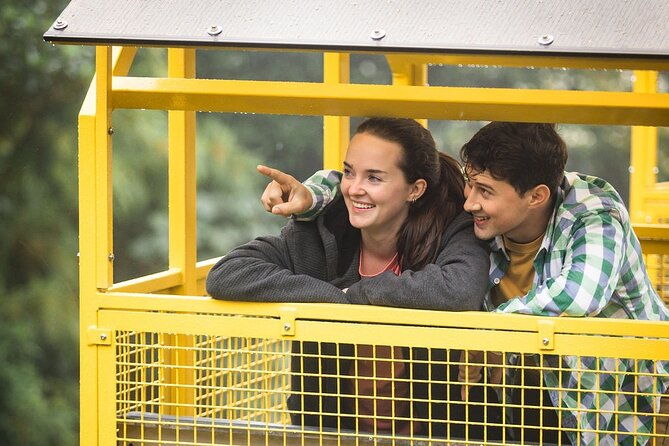 combo-monteverde-cable-car-zip-line-tour-suspension-bridges
