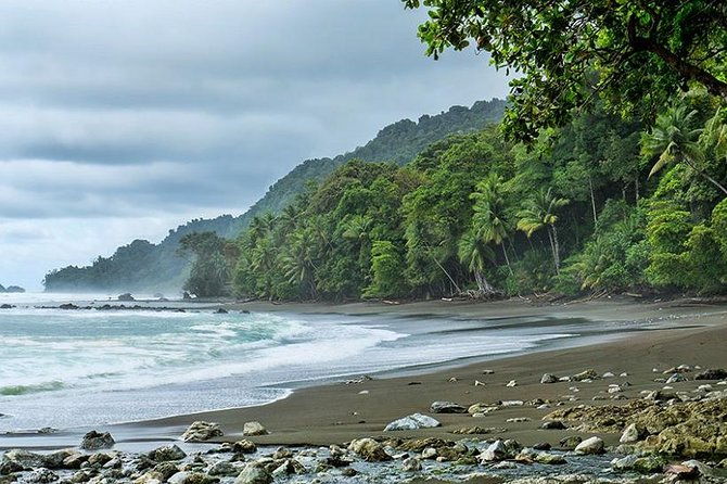 corcovado-national-park-one-day-tour