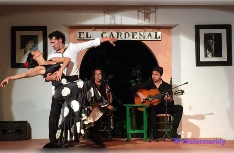 cordoba-flamenco-show-ticket-with-drinks