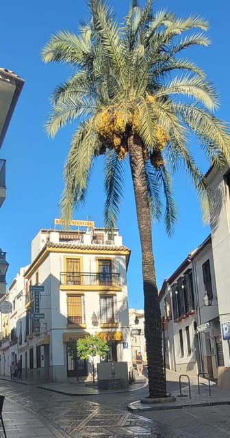 cordoba-mid-morning-walk-small-groups-native-english