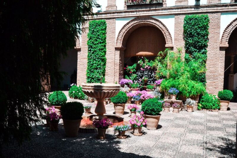 cordoba-patios-and-viana-palace-tour