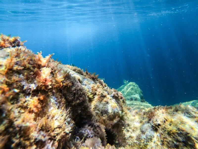 costa-brava-sea-caves-kayaking-and-snorkeling-tour