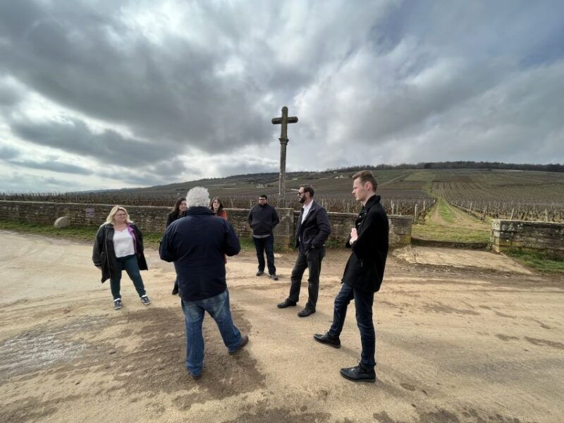 cote-de-nuits-private-local-wineries-and-wine-tasting-tour