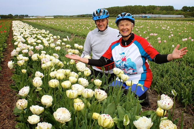 country-of-tulips-tour