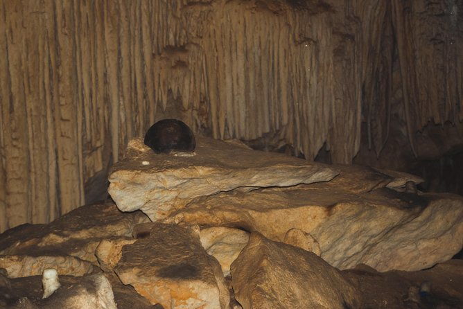 crystal-cave-with-local-tour-guide-and-belizean-lunch