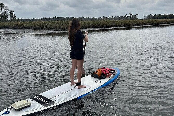 crystal-river-reserve-state-park-electric-paddleboard-rentals