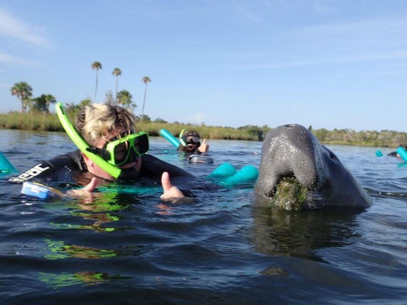 crystal-river-vip-manatee-swim-w-in-water-photographer