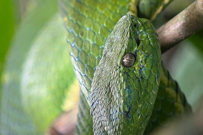 curi-cancha-nature-experience
