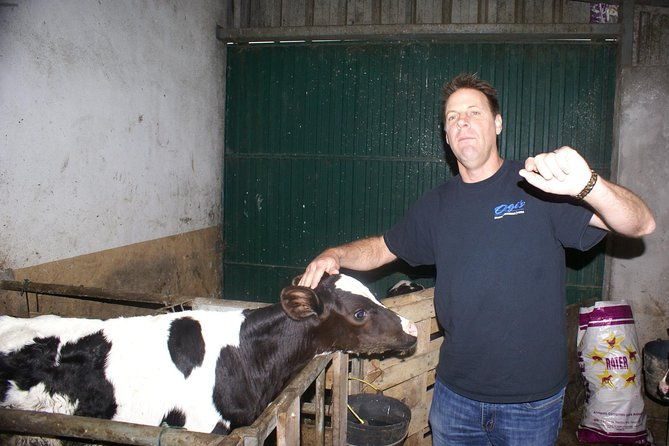 day-at-the-farm