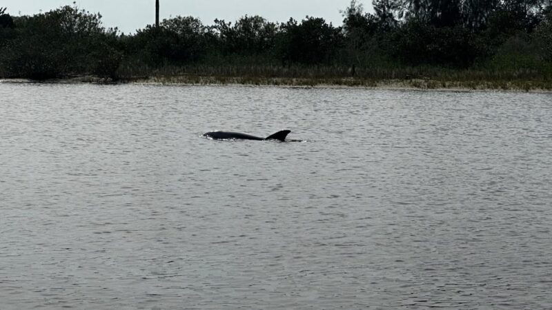 daytona-beach-coastal-discovery-cruise