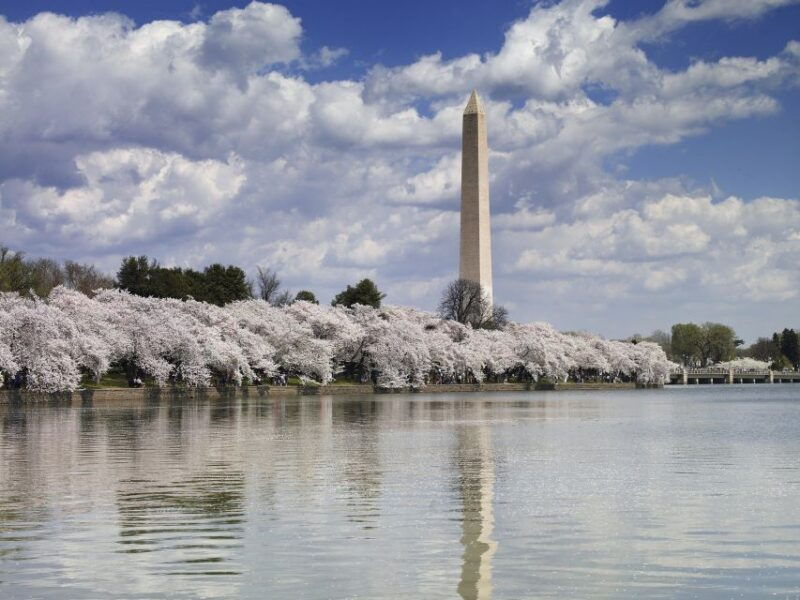 dc-tour-with-u-s-capitol-ground-access