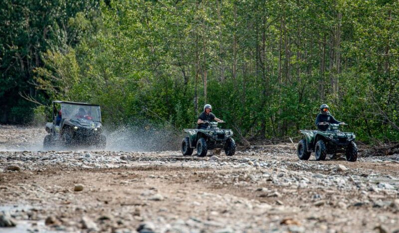 denali-national-park-wilderness-atv-adventure
