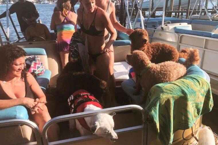 destin-4-hour-self-driving-pontoon-rental