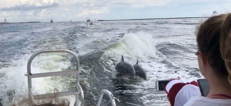 destin-dolphin-watching-cruise