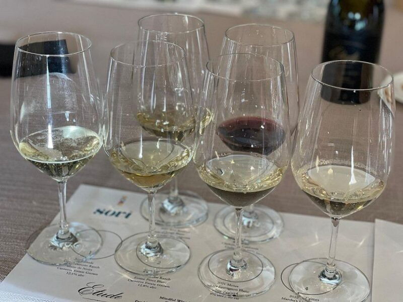 discover-arrabida-wine-and-scenic-wonders