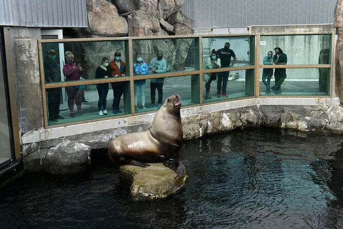discover-seward-self-guided-audio-tour