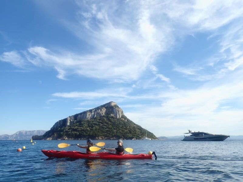 dolphin-kayak-safari-at-sunset-at-golfo-aranci