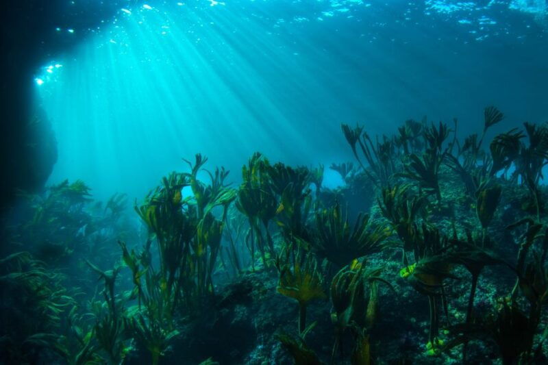 double-scuba-dive-on-a-marine-reserve