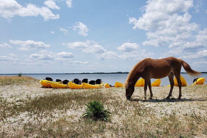 double-sit-on-top-kayak-rental-at-assateague-island-md