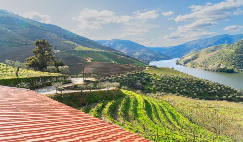 douro-valley-private-tour-with-2-wine-tastings