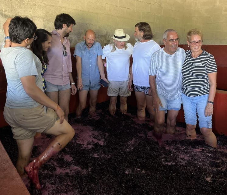 douro-valley-wine-safari-with-wine-tastings-and-lunch