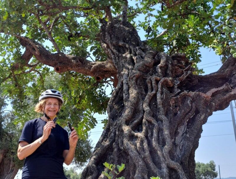 e-bike-tour-from-monopoli-to-the-rocky-village-of-st-andrew
