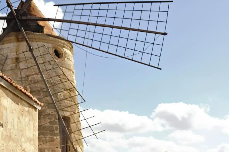 e-bike-tour-to-the-salt-pans-of-trapani-3-hours