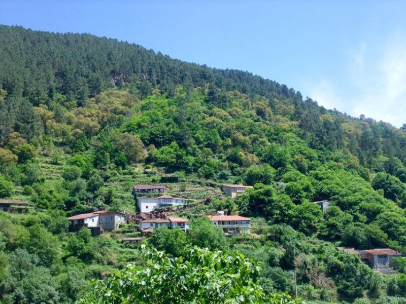 %e2%9c%85from-santiago-ribeira-sacra-day-trip-with-scenic-views