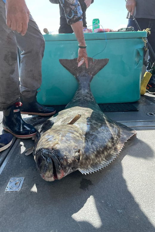 ear-mountain-charters-tours-whale-watching-and-fishing